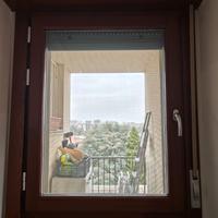 Finestra+Cornice in Legno con Doppio Vetro 92x120