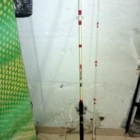 Canna da pesca badejo 300