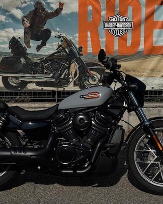 H-D Nightster 975 S