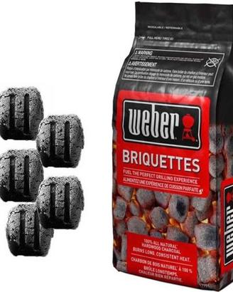 Bricchetti e carbone weber