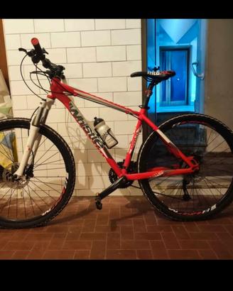 Whistle miwok 27.5