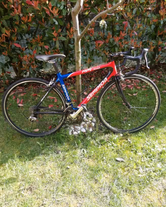 Bici corsa in carbonio