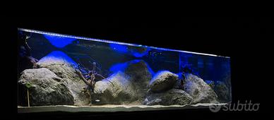 Rocce in resina per acquari