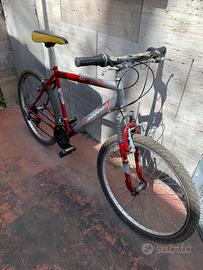 Bicicletta uomo/ragazzo