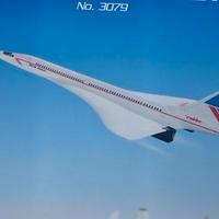 Aereo Radiocomandato Concorde "Air France