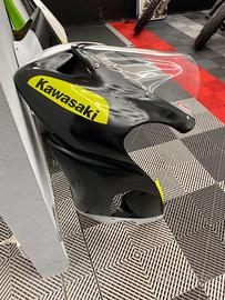 Carene pista Kawasaki 636