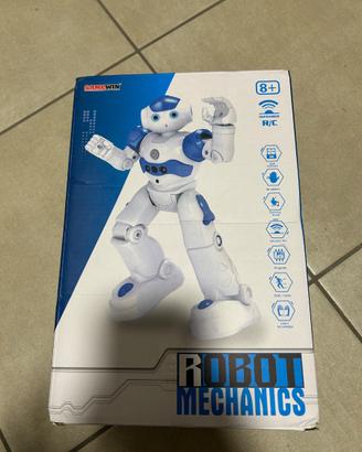 Robot