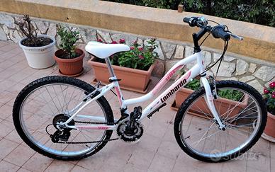 BICI MTB LOMBARDO 24