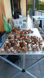 TAVOLO DA CAMPEGGIO