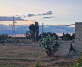 Terreno agricolo in agro di Ortelle