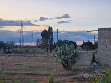 Terreno agricolo in agro di Ortelle