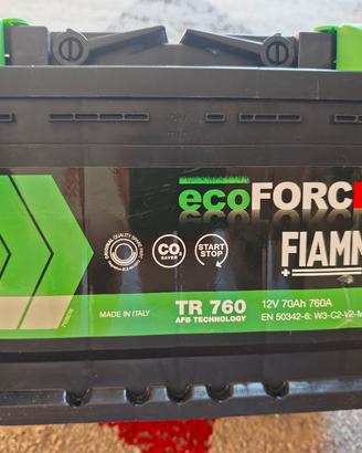 Batteria Auto FIAMM