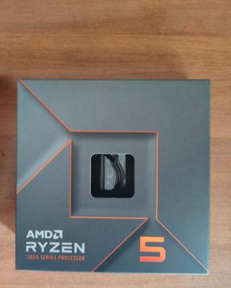 AMD Ryzen 5 7600X