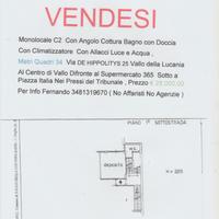 Monolocale C2 Abitabile