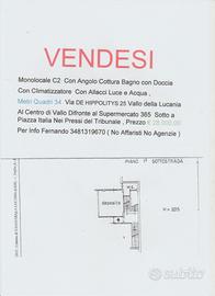 Monolocale C2 Abitabile
