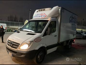 Mercedes Sprinter Cassa frigo corta