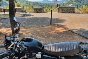 Triumph Street Twin 900