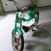 Motom daina