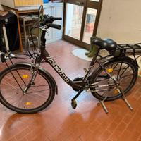 Bicicletta Pedalata Assistita