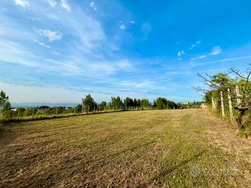 Terreno agricolo - Pollena Trocchia
