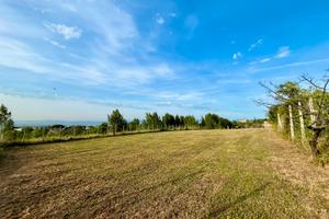 Terreno agricolo - Pollena Trocchia