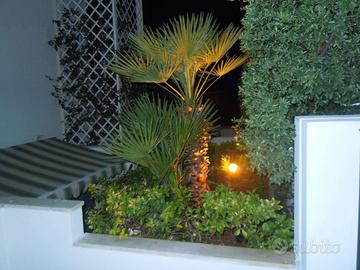 Casa Vacanza a Santa Cesarea Terme
