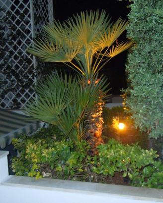 Casa Vacanza a Santa Cesarea Terme