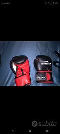 guantoni boxe 