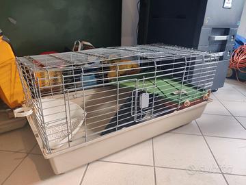 Gabbia piccoli animali
