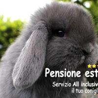 Allevamento La Nuova Fattoria