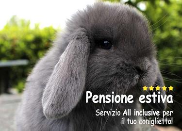 Allevamento La Nuova Fattoria