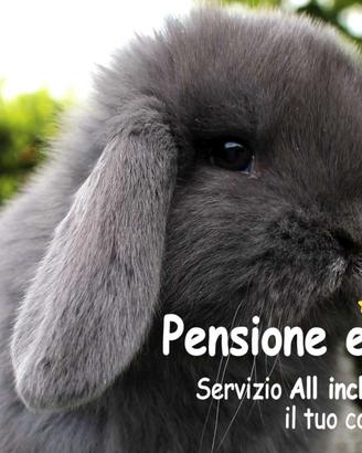 Allevamento La Nuova Fattoria