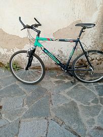 Bicicletta vintage