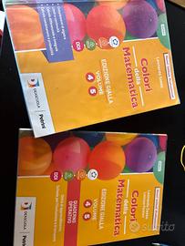 Libro Matematica 4/5 superiore