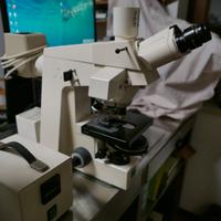 MICROSCOPIO ZEISS FLUORESCENZA