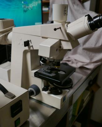 MICROSCOPIO ZEISS FLUORESCENZA