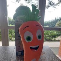 L.I.A. Carotina Intelligente