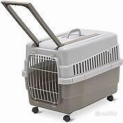 Trasportino grande per gatti con ruote