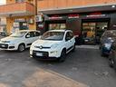 fiat-panda-1-0-firefly-s-s-hybrid-city-life