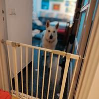 Cancelletto di protezione per cuccioli / bimbi