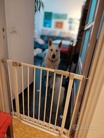 Cancelletto di protezione per cuccioli / bimbi