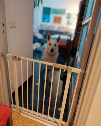 Cancelletto di protezione per cuccioli / bimbi