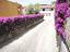Immagine 27