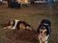 Immagine 5