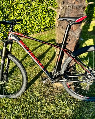 Bicicletta mtb