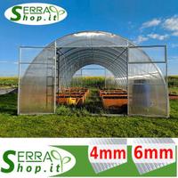 serra tunnel 6x4 policarbonato orto piante vivai