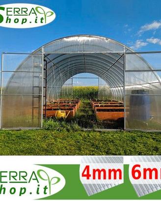 serra tunnel 6x4 policarbonato orto piante vivai