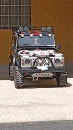Defender 300 TDI 