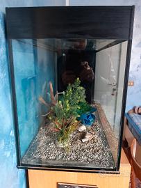   acquario 100x40 altezza 59cm