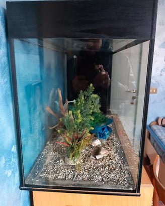   acquario 100x40 altezza 59cm